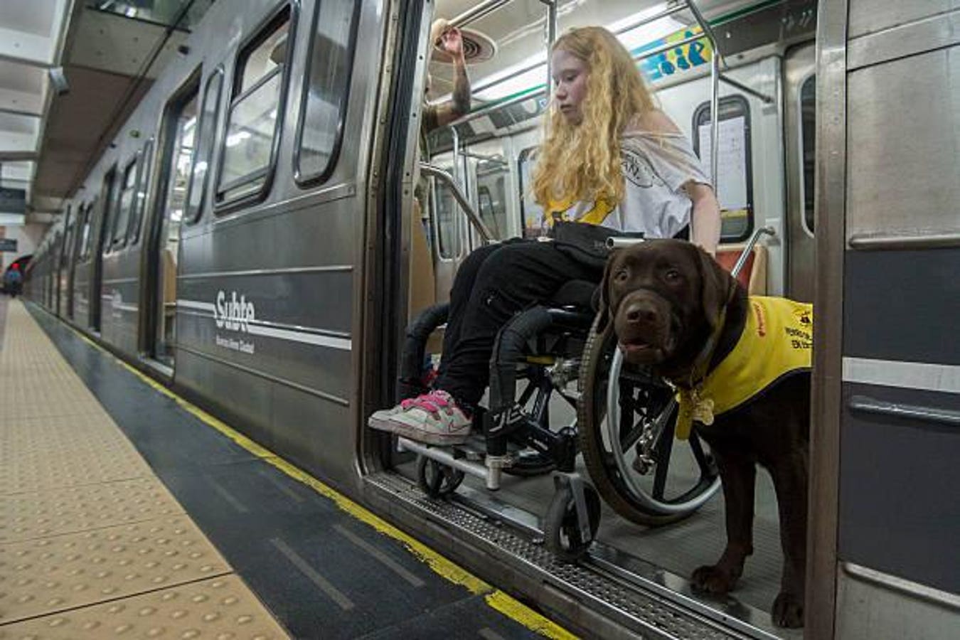 A person with a disability wants to contribute to reforming the travel industry