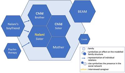 Refugee Families With Children With Disabilities: Exploring Their Social Network and Support Needs. A Good Practice Example