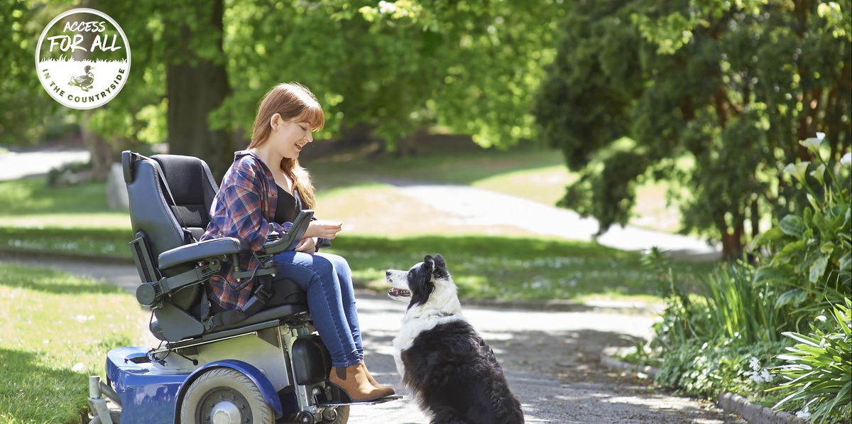 Best Service Dogs for the Disabled