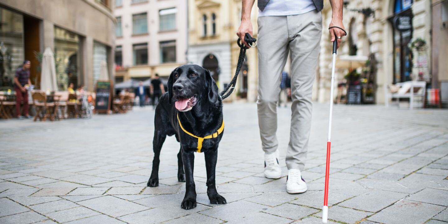 8 Helpful Travel Tips for the Visually Impaired