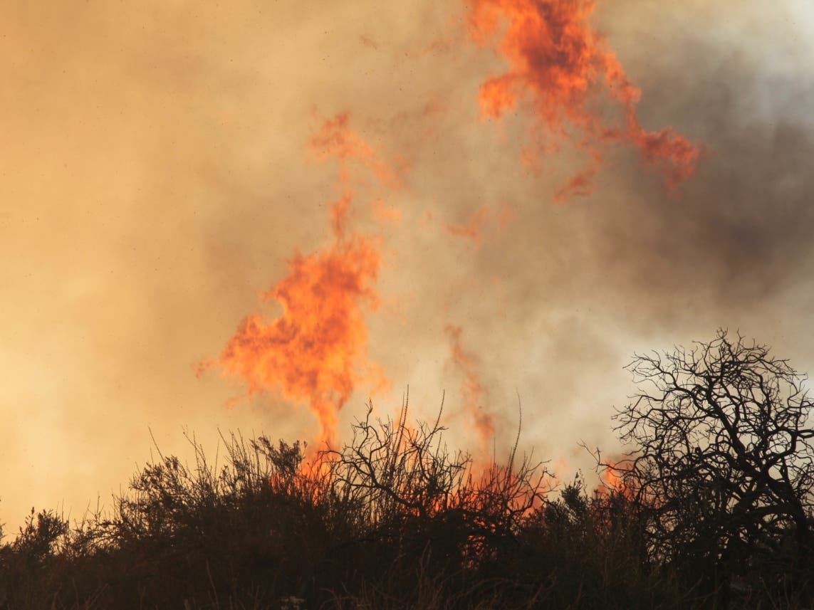 Three wildfires in Los Angeles County cause evacuations, highway closures