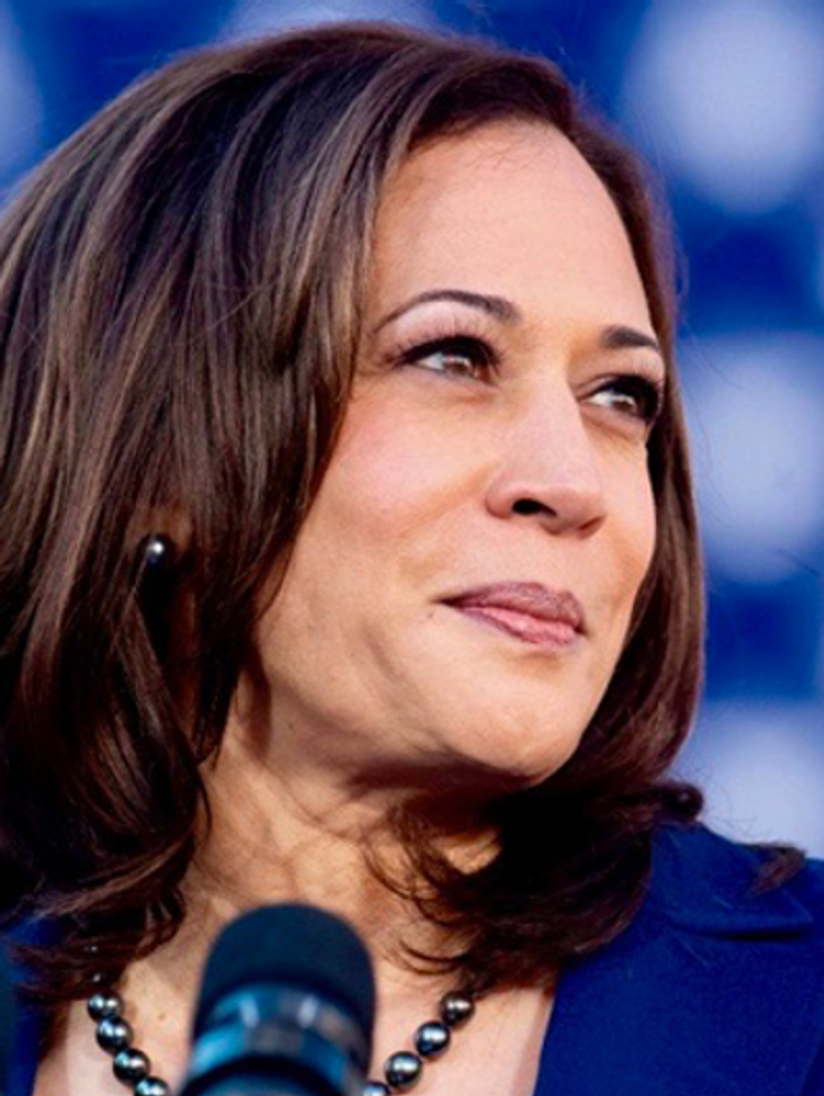 ‘You guys are idiots’: Trump campaign caught attacking Kamala Harris’ disability advocacy work