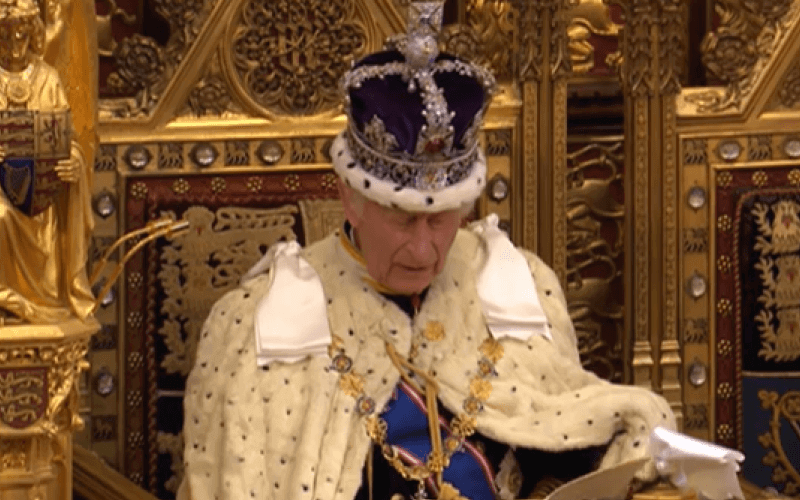 Labour government ignores disabled people in first King’s Speech – Disability News Service